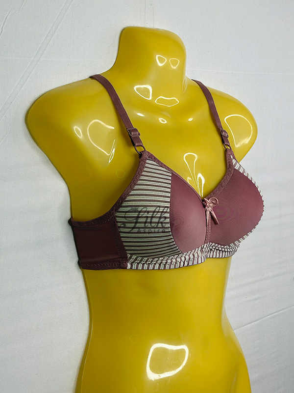 Padded Bra with Striped Design and Bow Accent