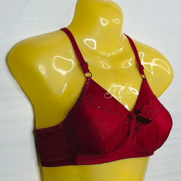Elegant Red Lace Bra – Comfortable Support with Feminine Design