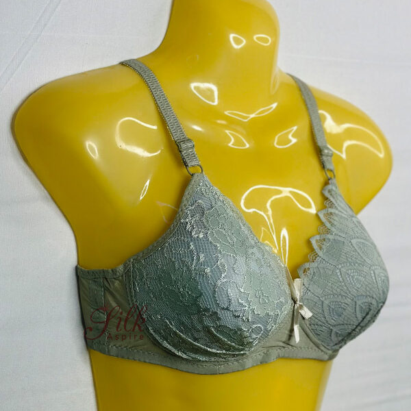 Elegant Lace soft padded Bra with Adjustable Straps