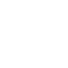 Rangmeez
